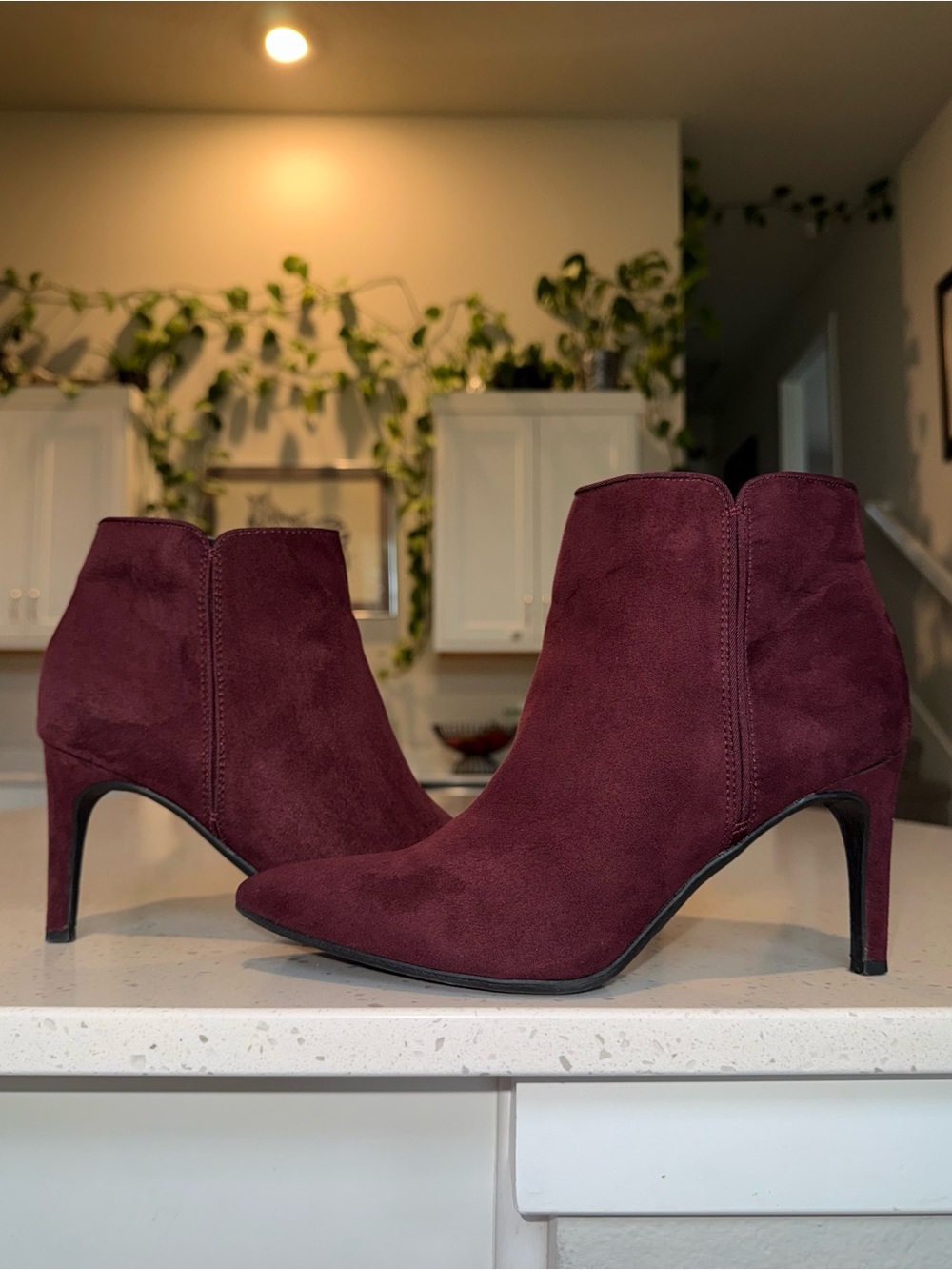 Circus by Sam Edelman Wine Suede Pointed Toe Ankle Booties